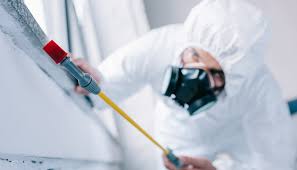 Real Estate Pest Inspections in Frankenmuth, MI